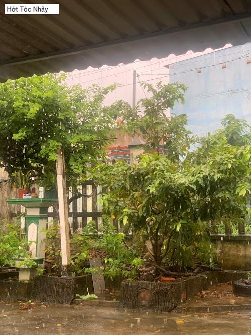 Hình ảnh Hớt Tóc Nhảy